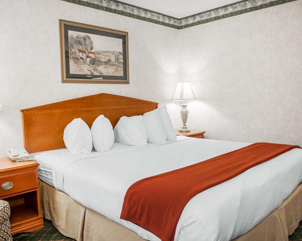 Quality Inn & Suites Brownsburg - Indianapolis West Zimmer foto